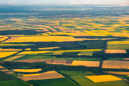 Culture de céréales