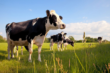 Génératricle électrique agricole : élevage laitier